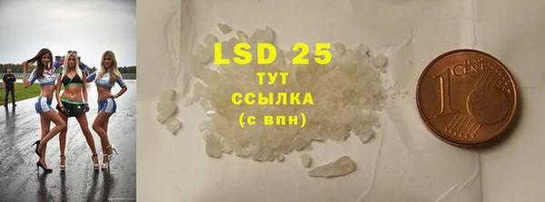 тгк Инсар
