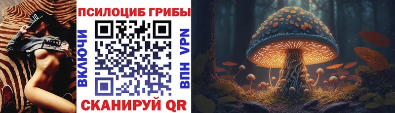 MEGA вход Нахабино Псилоцибиновые грибы GOLDEN TEACHER